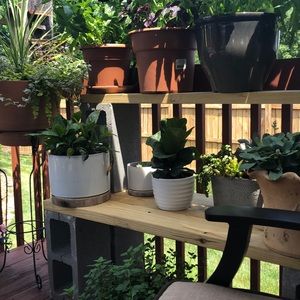 Meet your Posher, Jonna